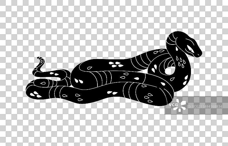 黑色图案毒蛇剪影图片素材