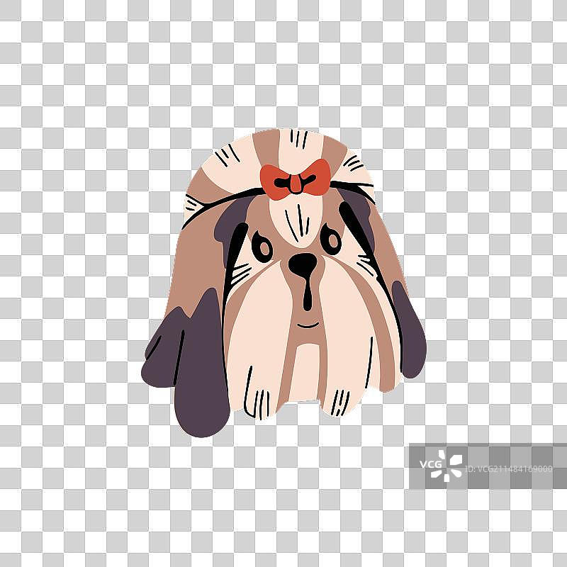 有趣的玩具犬品种：蓬松的西施犬头像图片素材