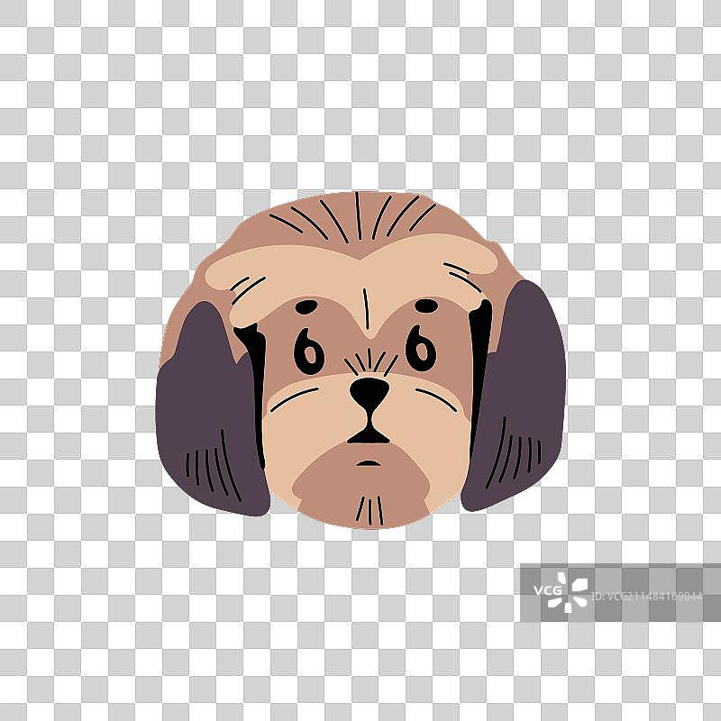 可爱的西施犬头像图片素材