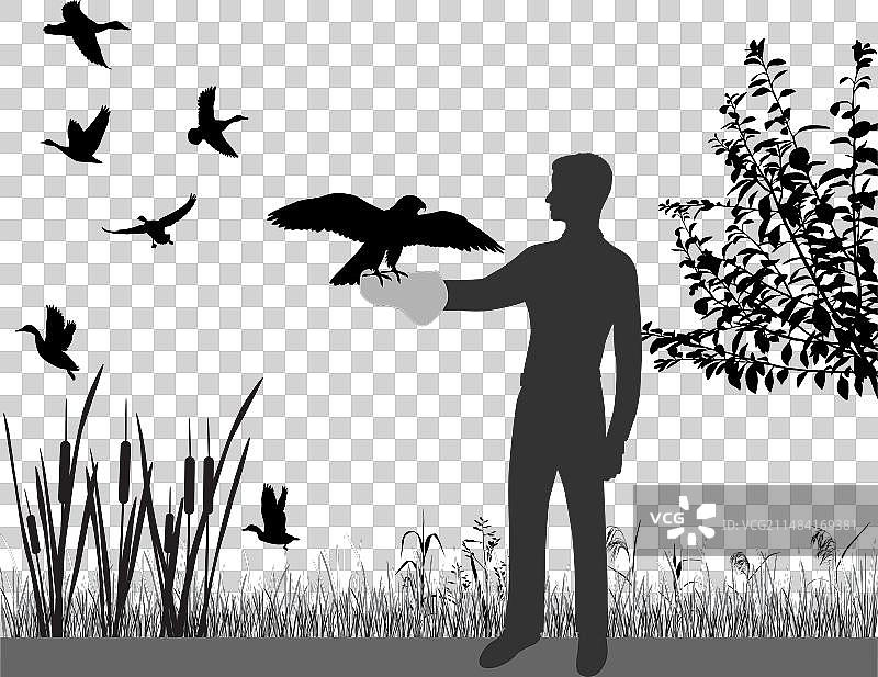 游隼狩猎图片素材