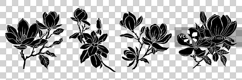 玉兰花黑色剪影合集图片素材