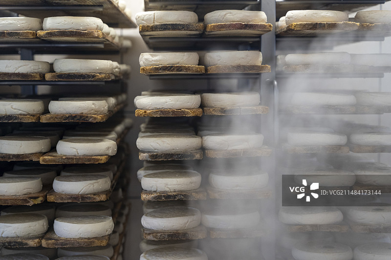 勒布罗松奶酪，产于法国上萨瓦省克吕萨的家庭农场图片素材