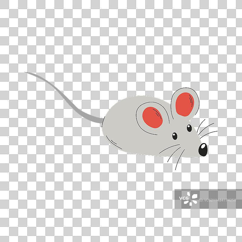 猫玩具鼠标图片素材