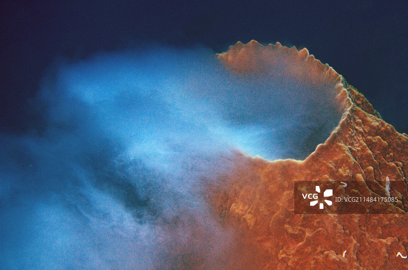 印度尼西亚班达海桶状海绵繁殖图片素材