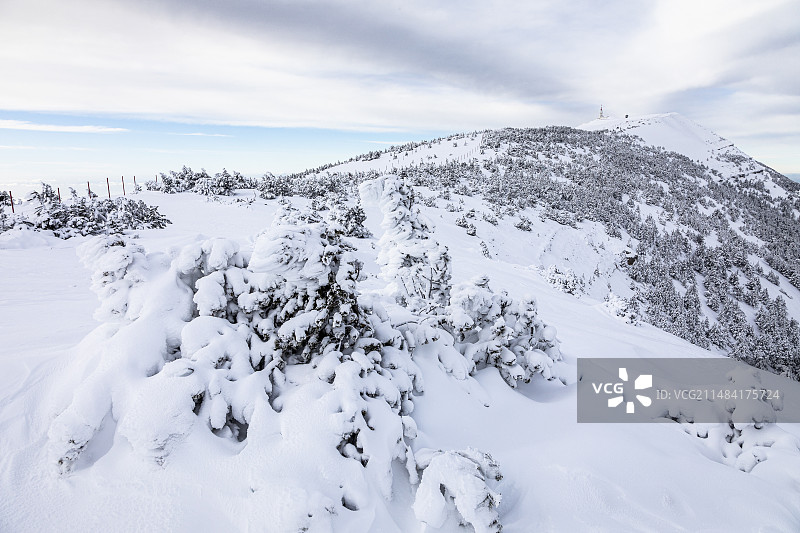 法国普罗旺斯旺图山北坡雪景图片素材