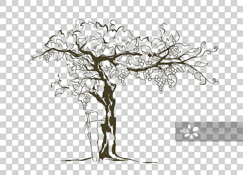 葡萄园手绘图图片素材