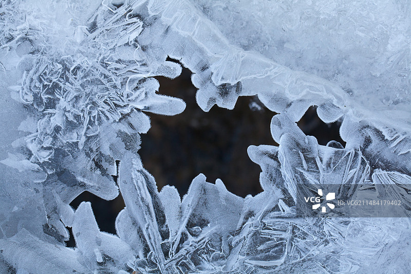 冰霜蕾丝：冬季结冰的河流，阿登，比利时图片素材