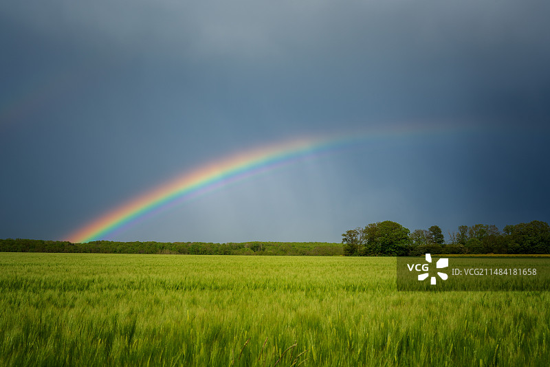 巴黎雷雨后麦田上空的壮丽彩虹图片素材
