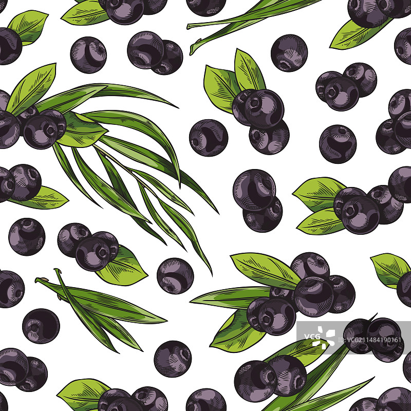 巴西莓和树叶无缝图案图片素材