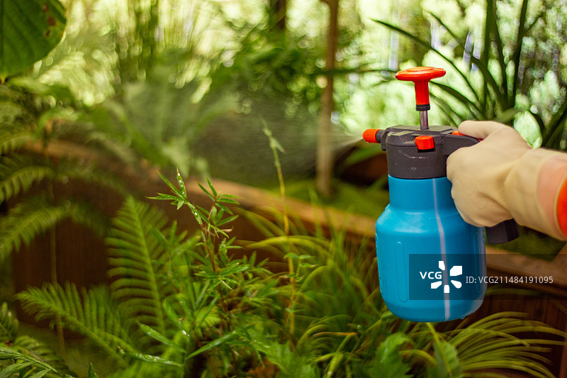 四川省绵阳市浇花，喷水图片素材