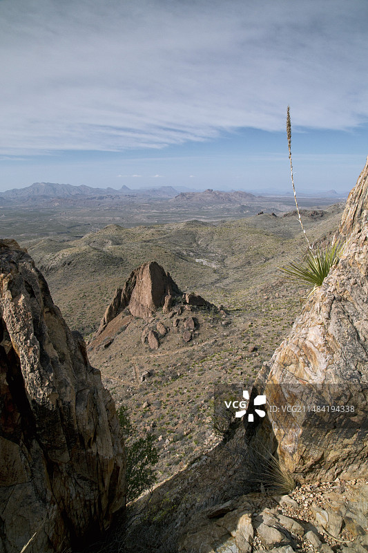 美国德克萨斯州奇瓦瓦沙漠图片素材