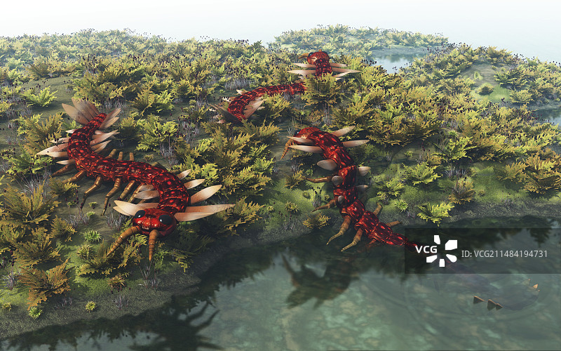 最早的陆生节肢动物插图图片素材