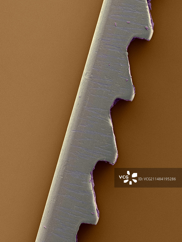 用过的曲线锯条图片素材