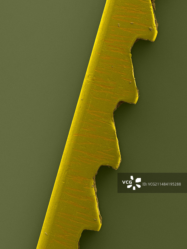 用过的曲线锯条图片素材