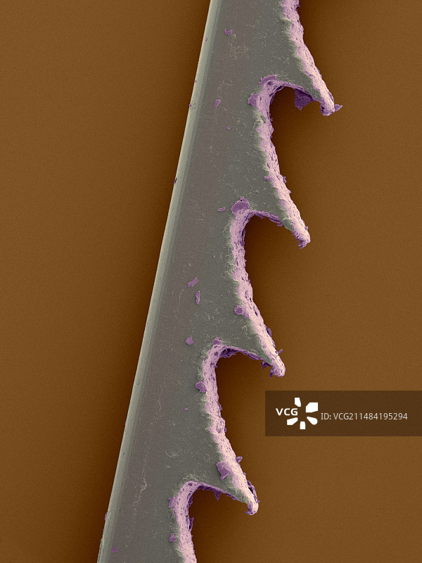 未使用的钢丝锯条，扫描电子显微镜图片素材