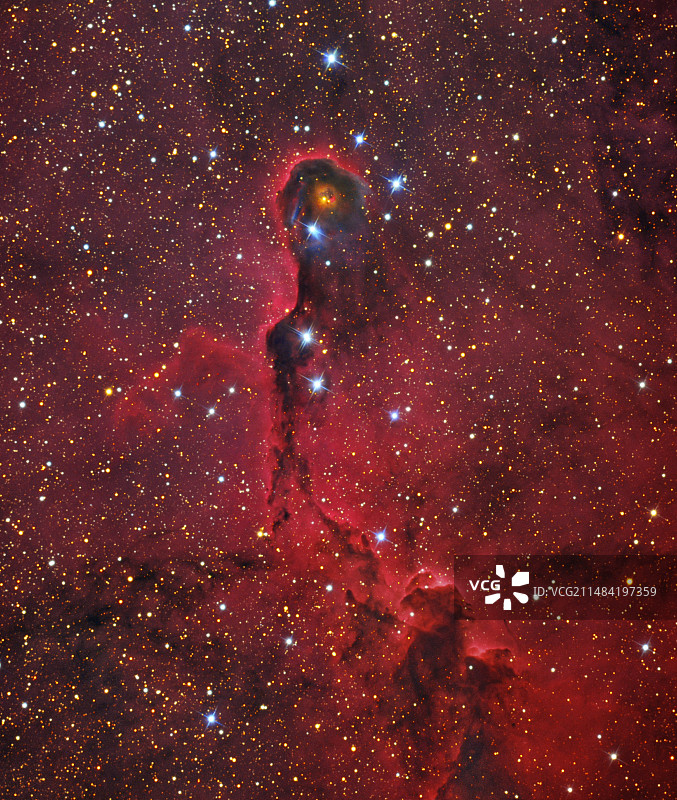 象鼻星云光学图像图片素材