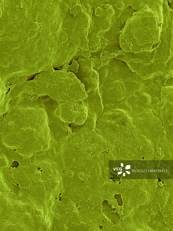 柠檬皮表面扫描电镜图图片素材