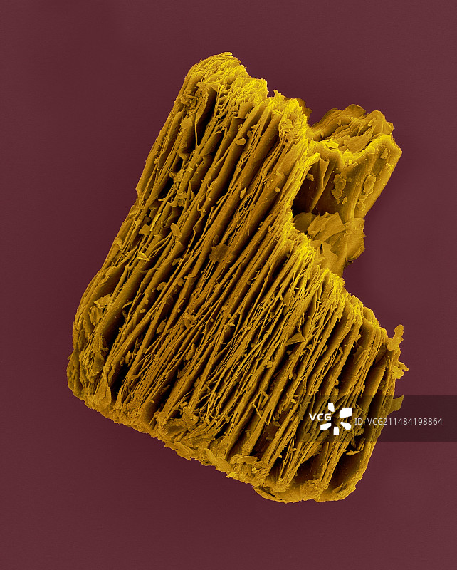 膨胀蛭石颗粒扫描电镜图图片素材