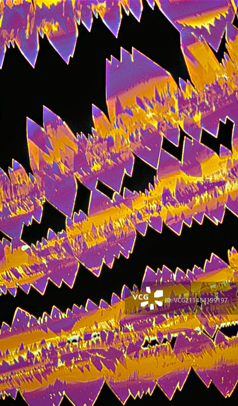 睾酮晶体，LM图片素材