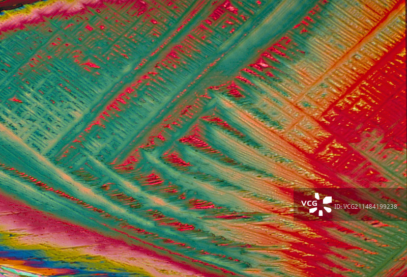 维生素B2晶体，LM图片素材