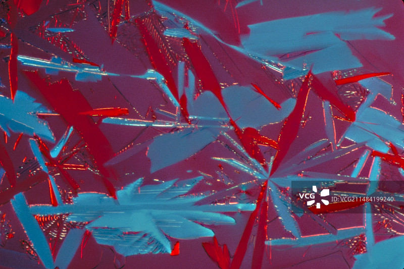 血红蛋白结晶，光学显微镜图片素材