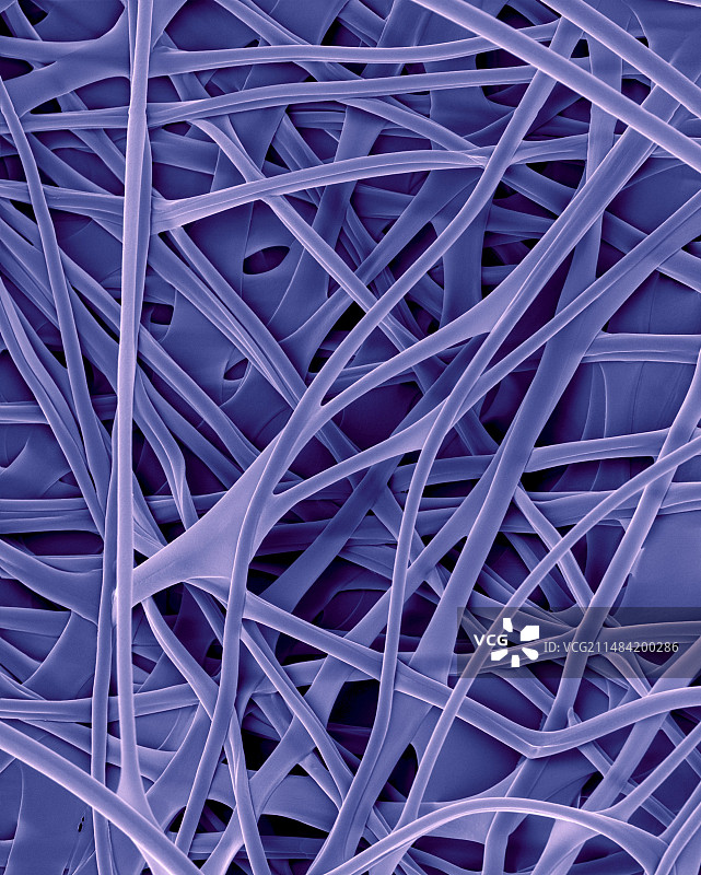 烟草天蛾黄蜂蚕丝茧扫描电镜图图片素材
