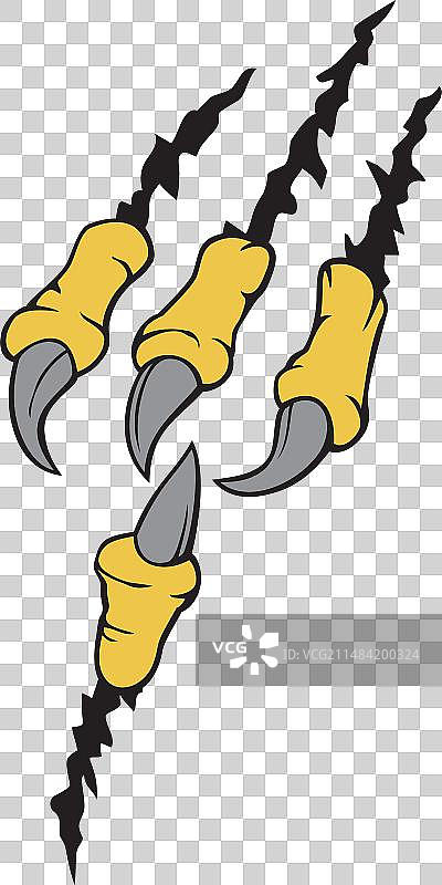 老鹰爪子彩色图案图片素材