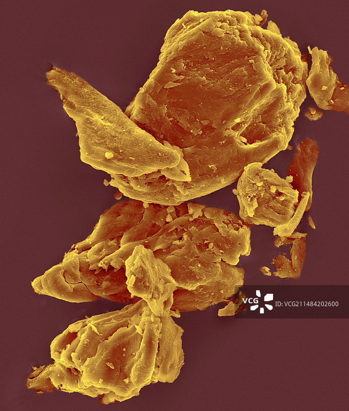 黄原胶扫描电镜图图片素材