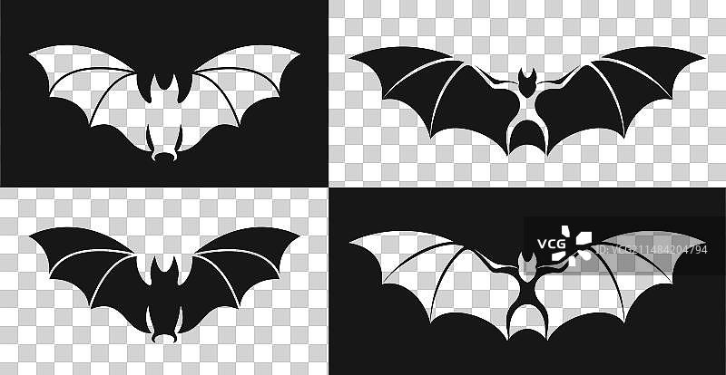 蝙蝠。图片素材