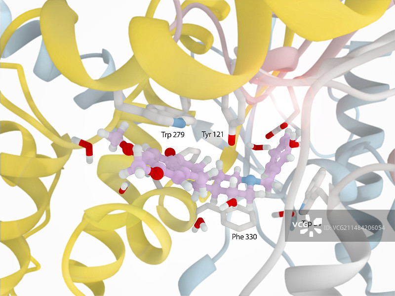 乙酰胆碱酯酶和多奈哌齐药物复合物图片素材