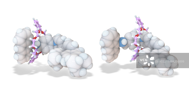 分子肌肉分子模型图片素材
