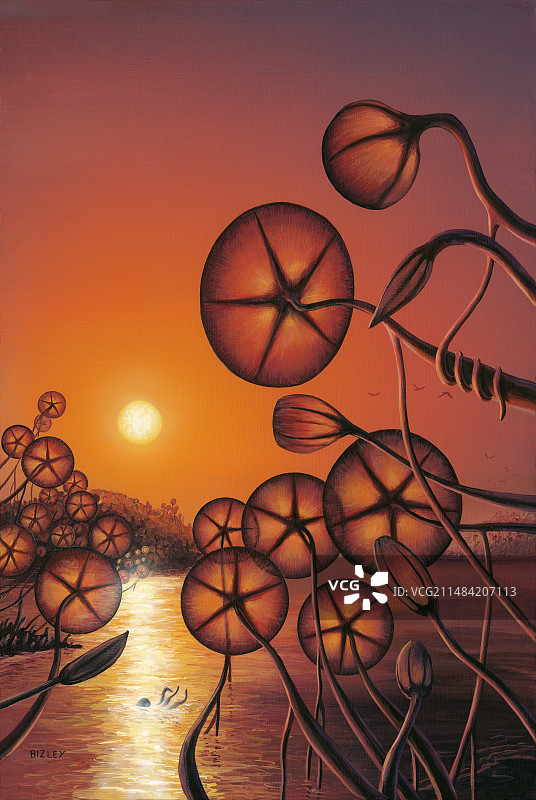 外星球上的生活插画图片素材