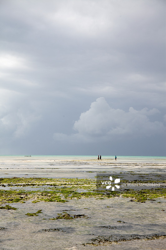 低潮时海滩上空的暴风云图片素材