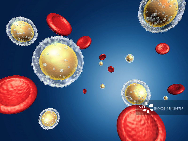 红白血细胞插画图片素材