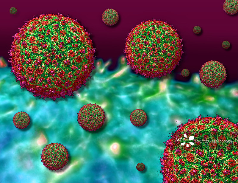 寨卡病毒颗粒分子模型图片素材