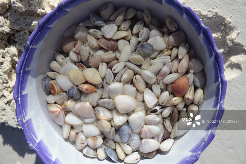 待烹饪的海鲜，桑给巴尔图片素材