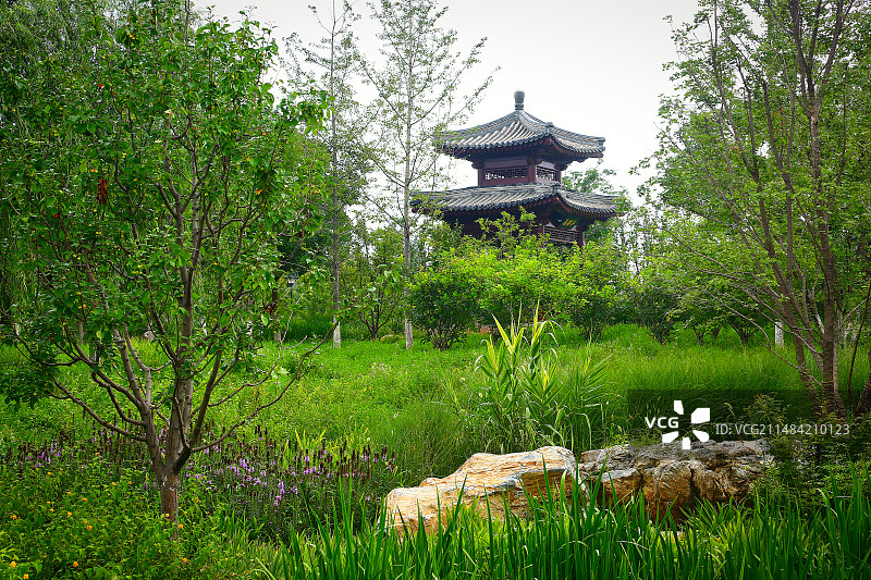 北京通州城市绿心森林公园马缨亭图片素材