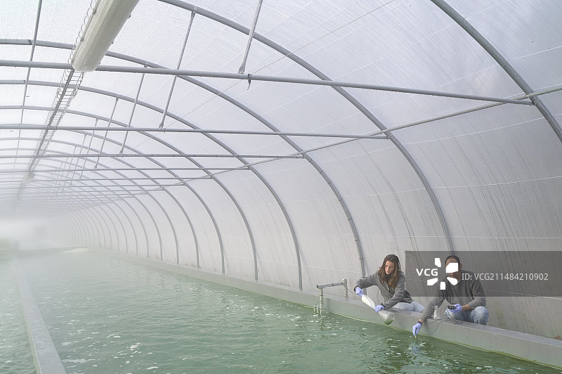 螺旋藻生产图片素材