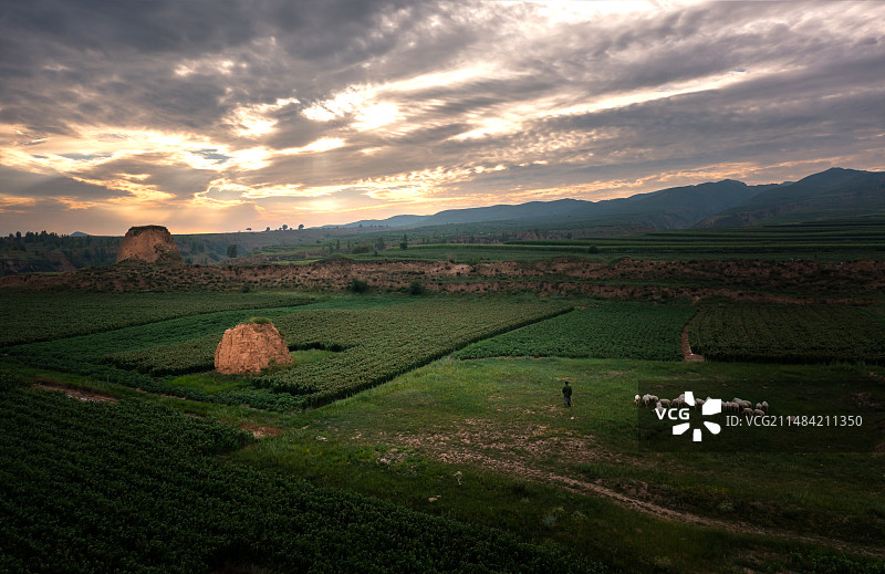 山西长城乡-守望长城的牧羊人。图片素材