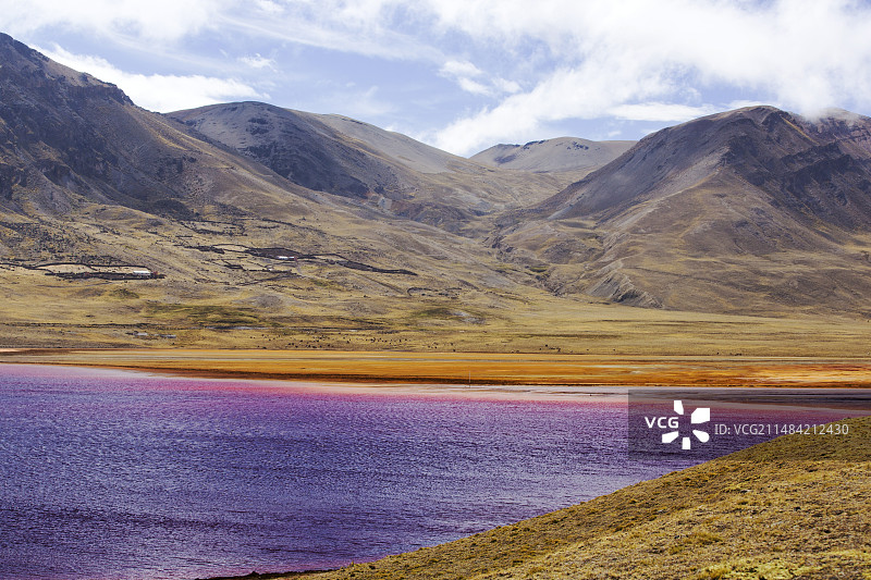 玻利维亚米卢尼泻湖的干旱图片素材