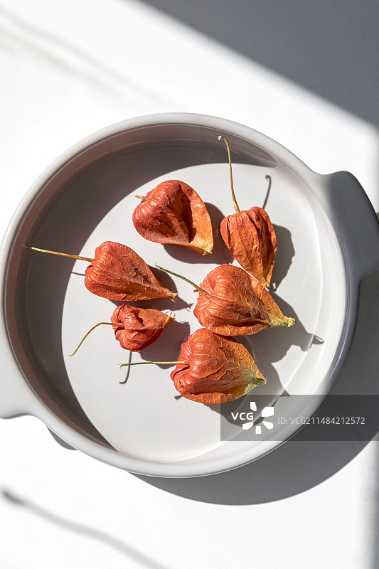 锦灯笼 红姑娘图片素材