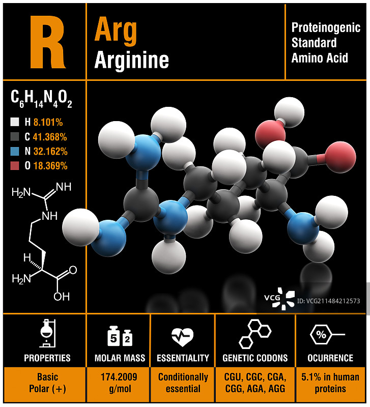 精氨酸氨基酸分子图片素材