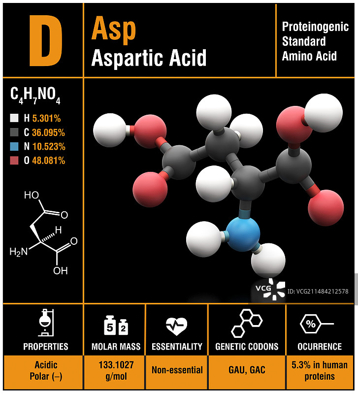 天冬氨酸分子结构图片素材