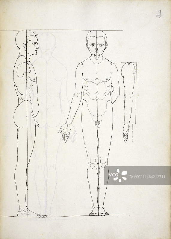 丢勒人体比例研究图片素材