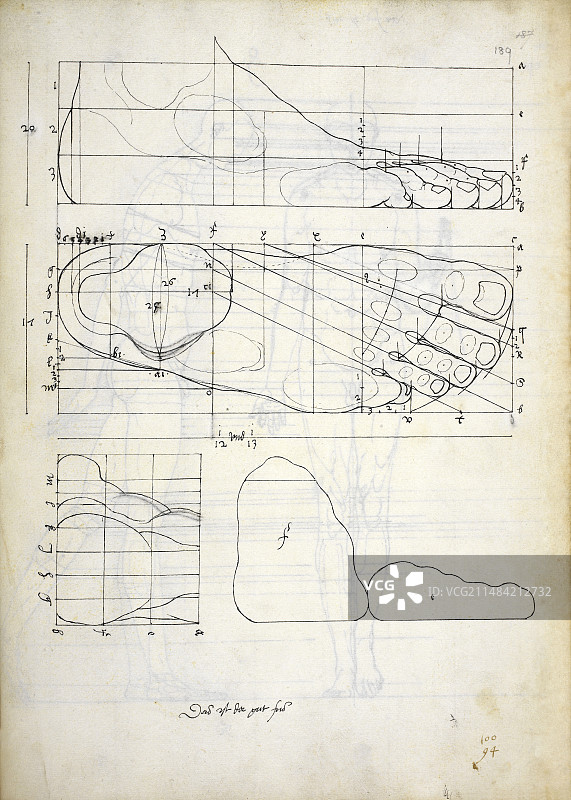 杜勒的人脚比例图片素材