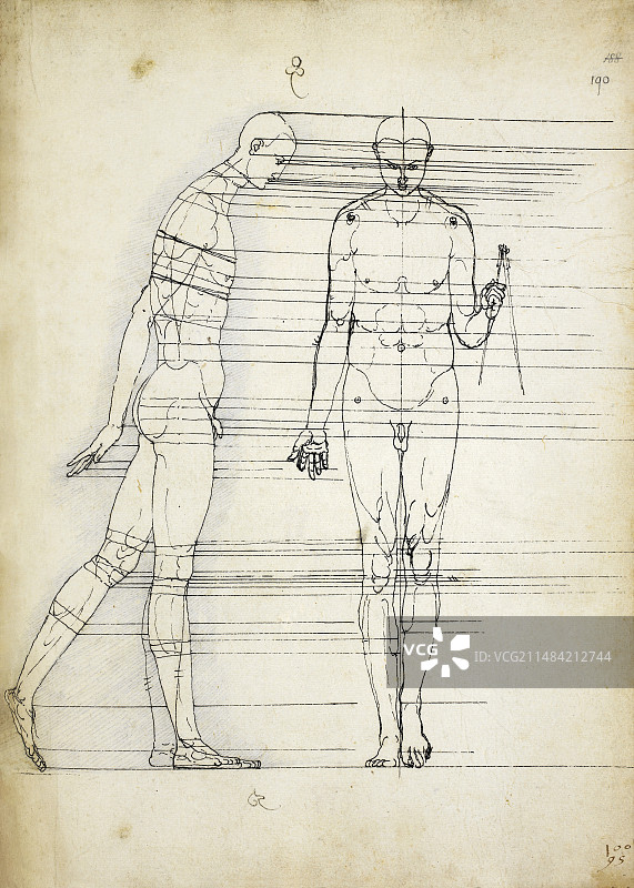 丢勒人体比例研究图片素材