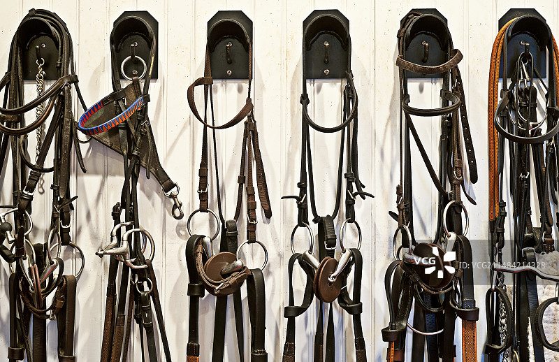 马术装备图片素材