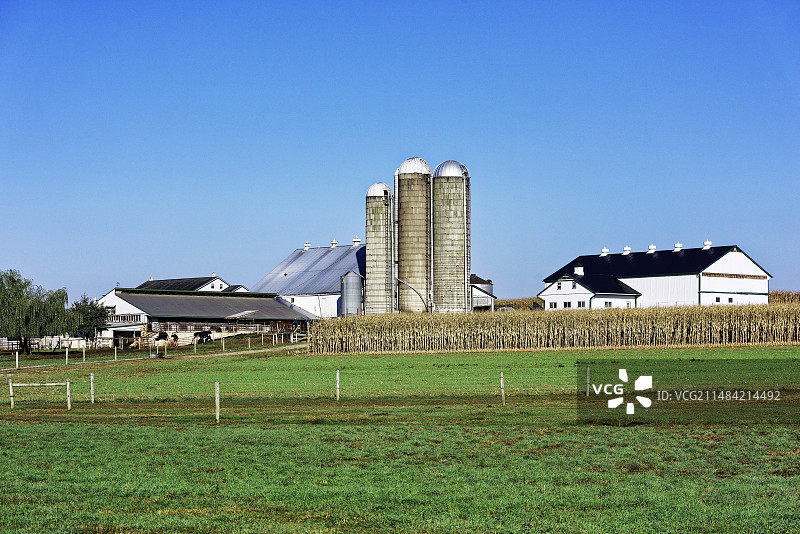 美国宾夕法尼亚州的阿米什农场图片素材