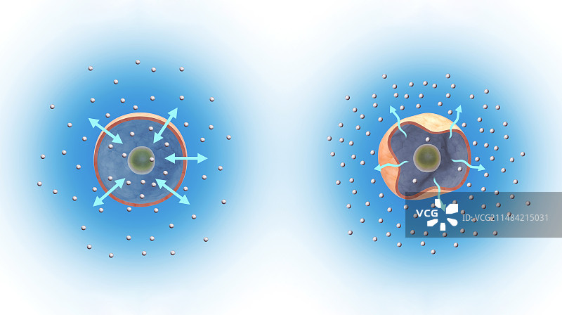 渗透原理插画图片素材