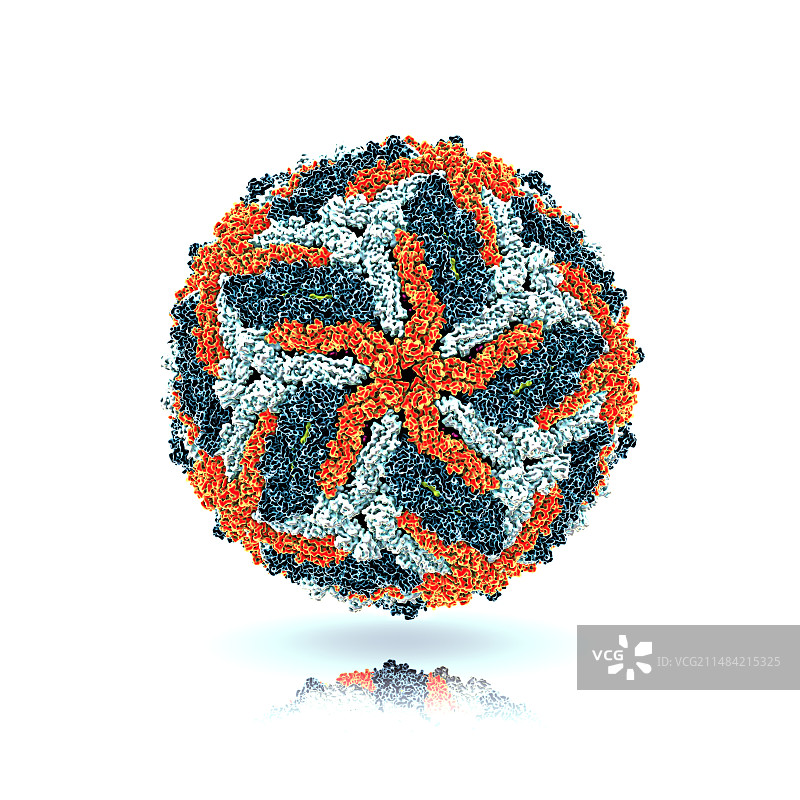 寨卡病毒分子模型图片素材